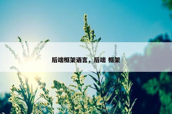 后端框架语言，后端 框架