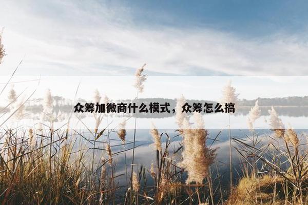众筹加微商什么模式，众筹怎么搞