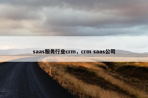 saas服务行业crm，crm saas公司