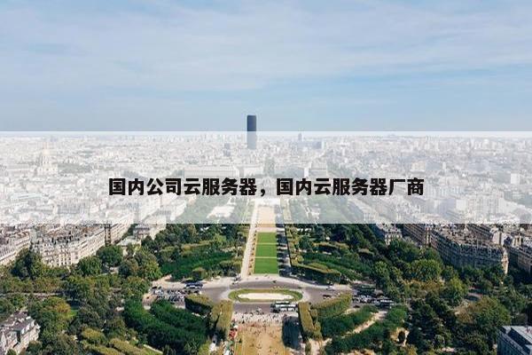 国内公司云服务器，国内云服务器厂商