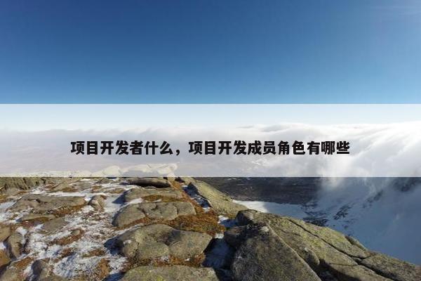 项目开发者什么，项目开发成员角色有哪些