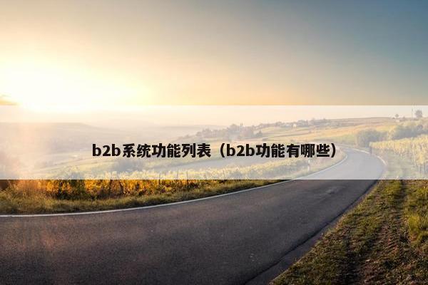 b2b系统功能列表（b2b功能有哪些）