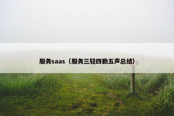 服务saas（服务三轻四勤五声总结）