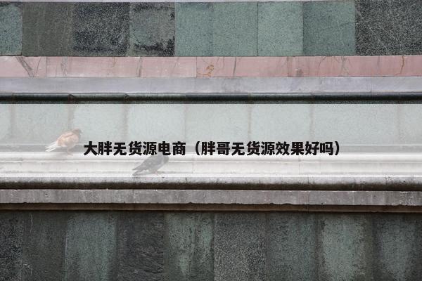 大胖无货源电商（胖哥无货源效果好吗）