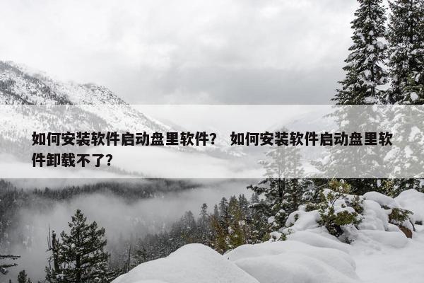 如何安装软件启动盘里软件？ 如何安装软件启动盘里软件卸载不了？