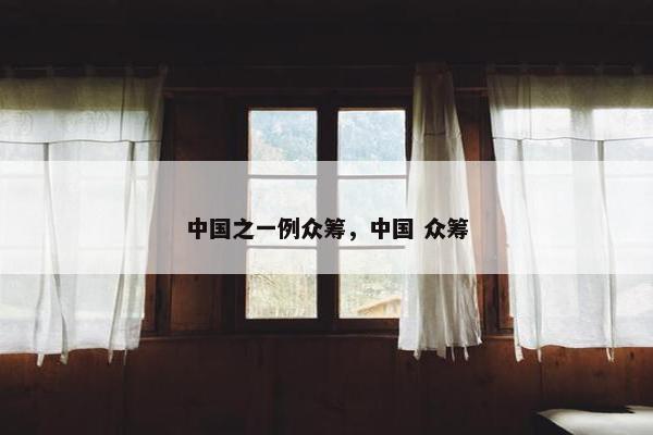 中国之一例众筹，中国 众筹