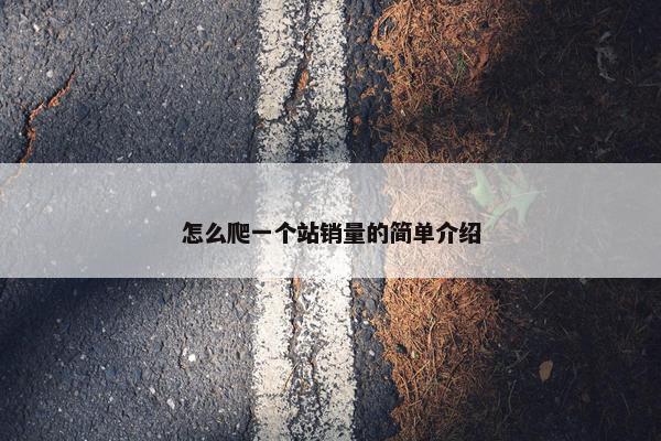怎么爬一个站销量的简单介绍