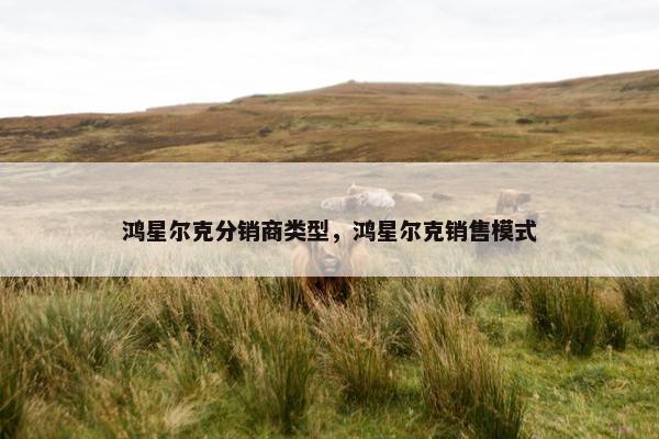 鸿星尔克分销商类型，鸿星尔克销售模式