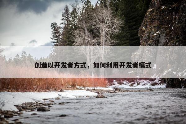 创造以开发者方式，如何利用开发者模式