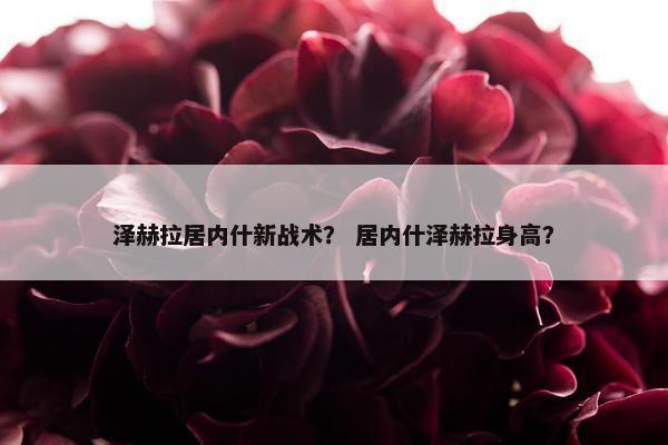 泽赫拉居内什新战术？ 居内什泽赫拉身高？