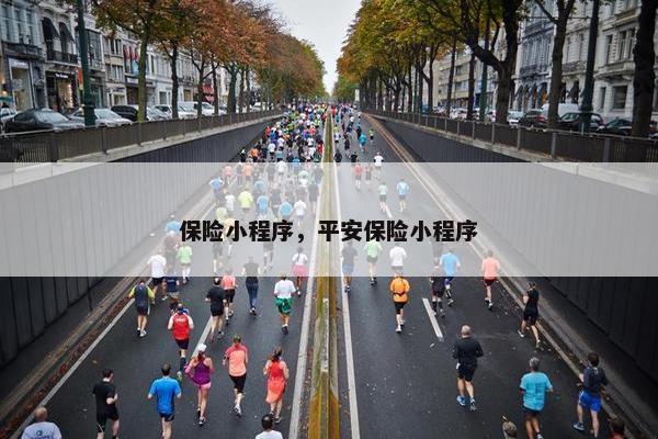 保险小程序，平安保险小程序