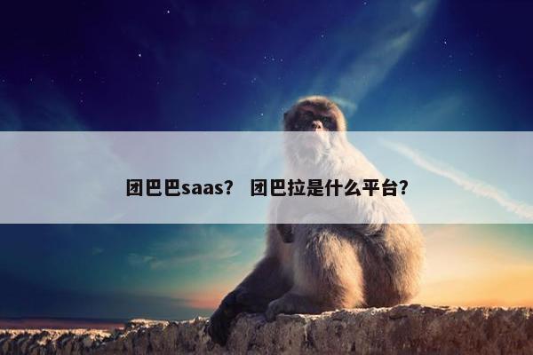 团巴巴saas？ 团巴拉是什么平台？