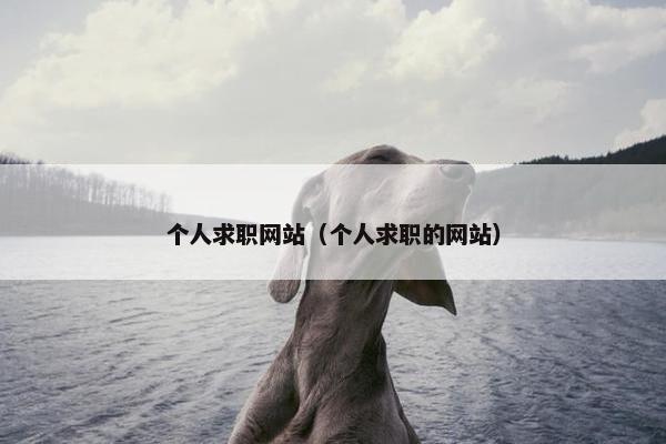 个人求职网站（个人求职的网站）