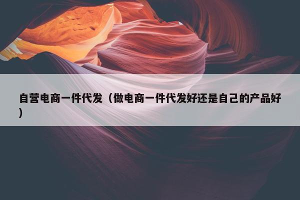 自营电商一件代发（做电商一件代发好还是自己的产品好）