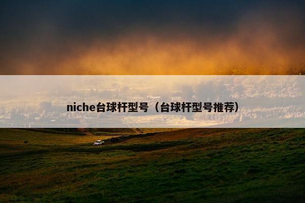 niche台球杆型号（台球杆型号推荐）