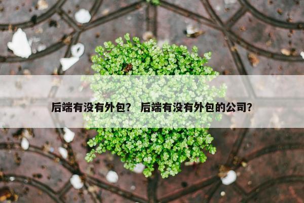 后端有没有外包？ 后端有没有外包的公司？