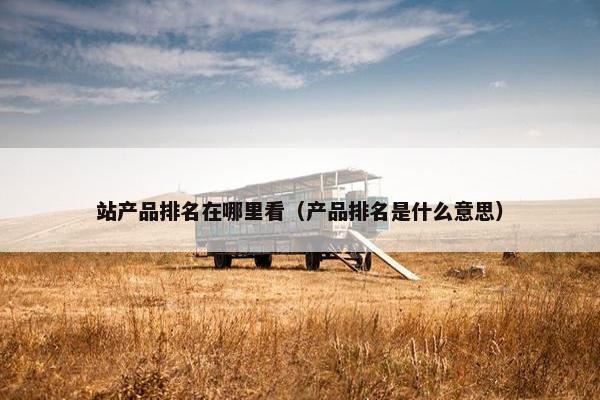 站产品排名在哪里看（产品排名是什么意思）