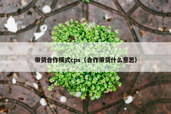 带货合作模式cps（合作带货什么意思）