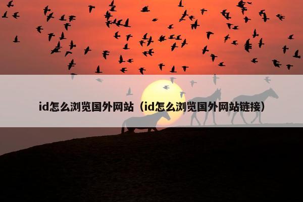 id怎么浏览国外网站（id怎么浏览国外网站链接）