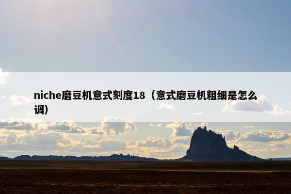 niche磨豆机意式刻度18（意式磨豆机粗细是怎么调）