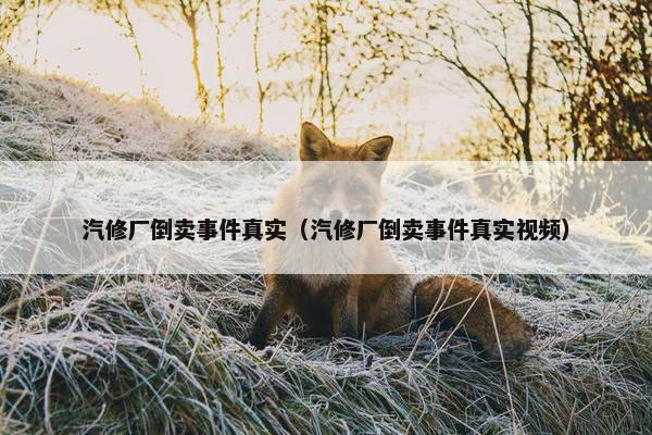 汽修厂倒卖事件真实（汽修厂倒卖事件真实视频）