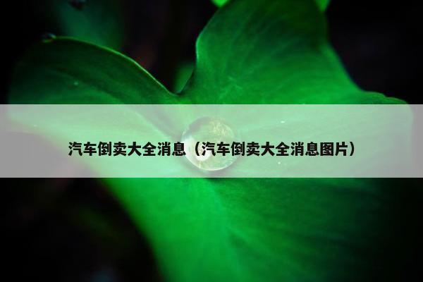 汽车倒卖大全消息（汽车倒卖大全消息图片）