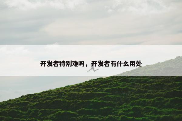 开发者特别难吗，开发者有什么用处