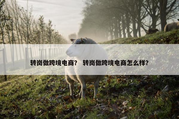 转岗做跨境电商？ 转岗做跨境电商怎么样？