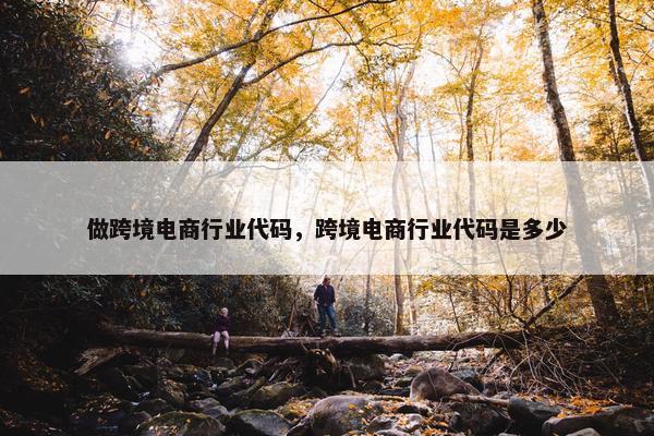 做跨境电商行业代码，跨境电商行业代码是多少