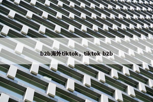 b2b海外tiktok，tiktok b2b