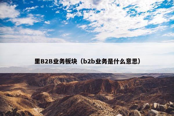 里B2B业务板块（b2b业务是什么意思）