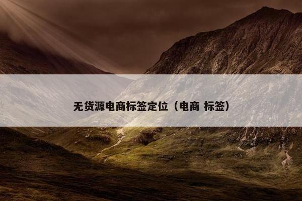 无货源电商标签定位（电商 标签）