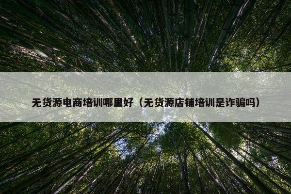 无货源电商培训哪里好（无货源店铺培训是诈骗吗）
