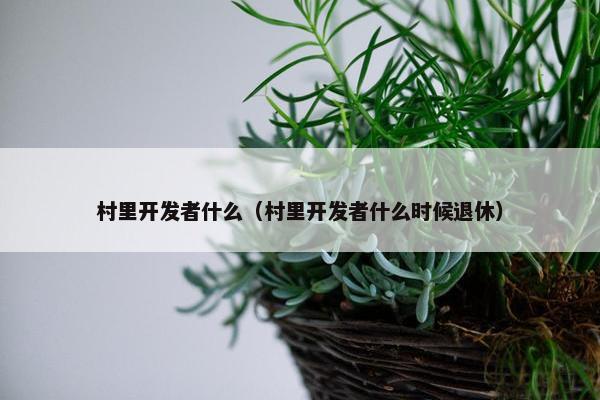 村里开发者什么（村里开发者什么时候退休）