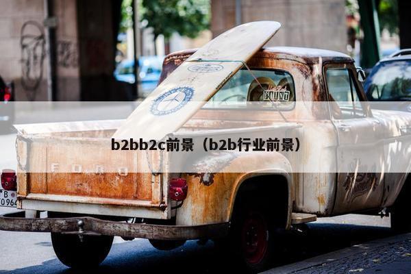 b2bb2c前景（b2b行业前景）