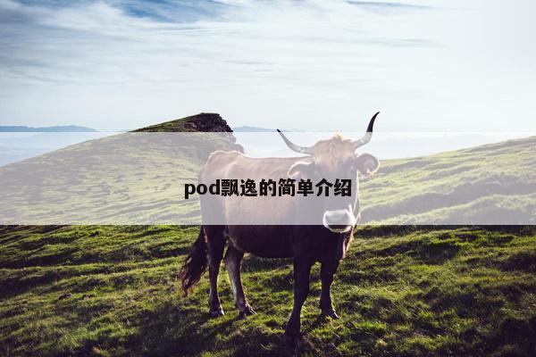 pod飘逸的简单介绍