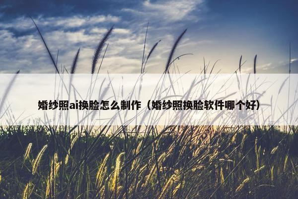 婚纱照ai换脸怎么制作（婚纱照换脸软件哪个好）