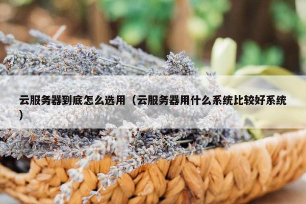 云服务器到底怎么选用（云服务器用什么系统比较好系统）