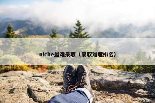 niche最难录取（录取难度排名）