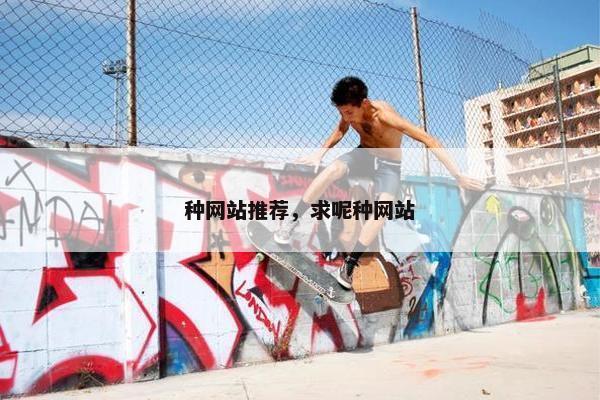 种网站推荐，求呢种网站