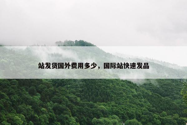 站发货国外费用多少，国际站快速发品