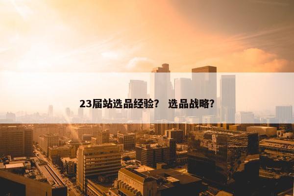 23届站选品经验？ 选品战略？