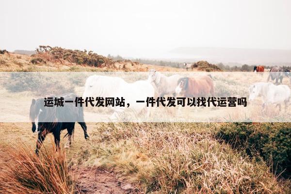 运城一件代发网站，一件代发可以找代运营吗