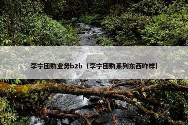 李宁团购业务b2b（李宁团购系列东西咋样）