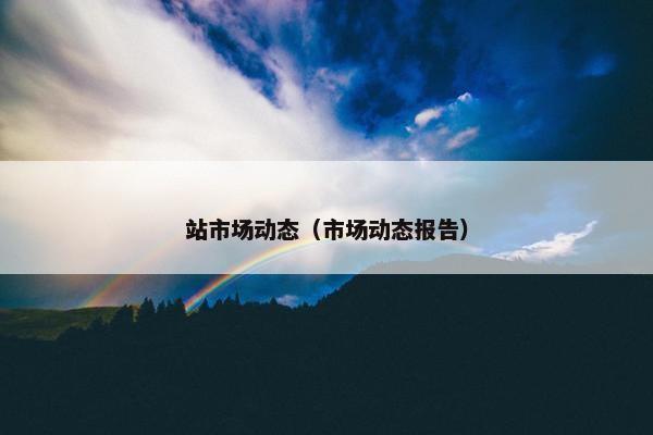 站市场动态（市场动态报告）