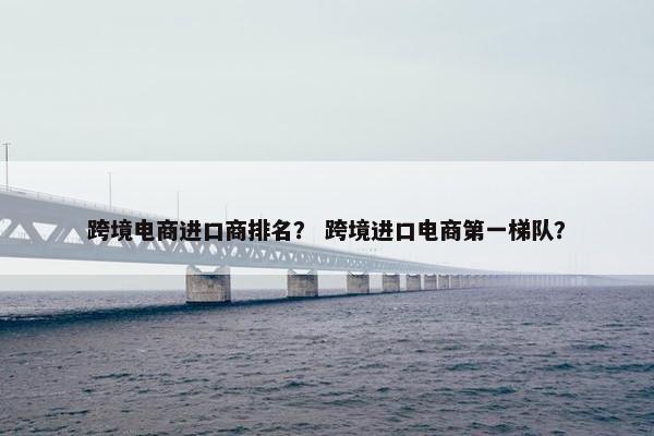 跨境电商进口商排名？ 跨境进口电商第一梯队？
