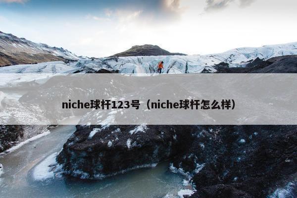 niche球杆123号（niche球杆怎么样）
