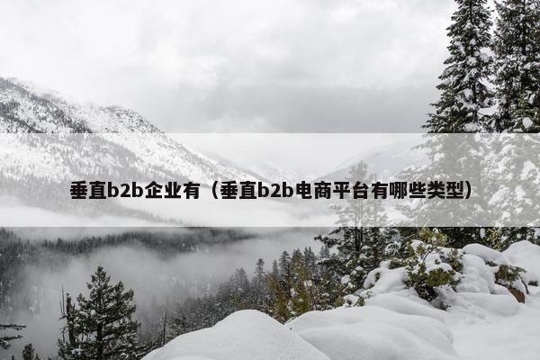 垂直b2b企业有（垂直b2b电商平台有哪些类型）