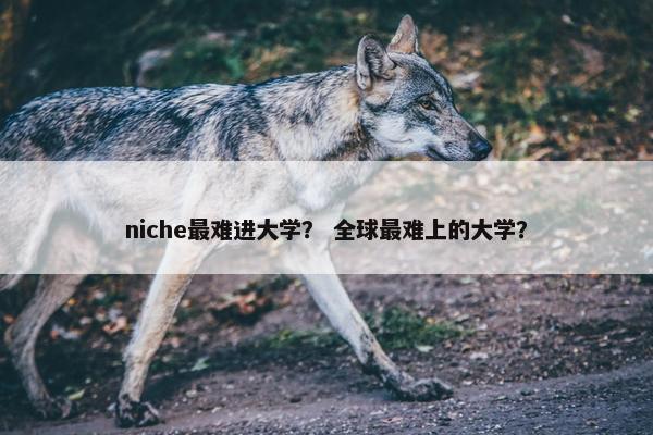 niche最难进大学？ 全球最难上的大学？