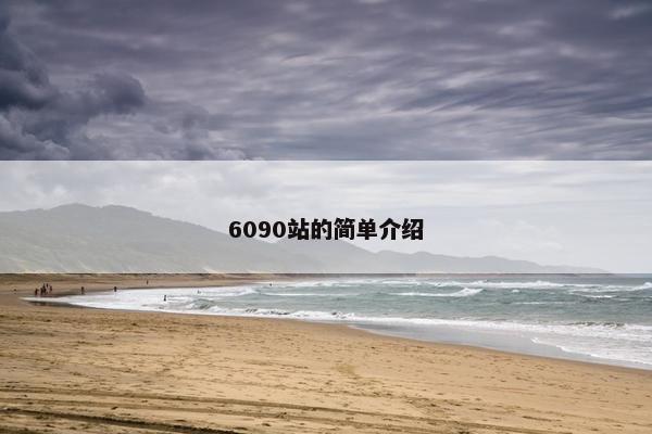 6090站的简单介绍
